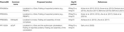 Plasmodium falciparum Molecular Chaperones: Guardians of the Malaria Parasite Proteome and Renovators of the Host Proteome